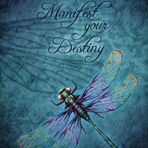 Manifest Your Destiny by Brigid Ashwood Notebook 9 Pro 13in (2017) Skin